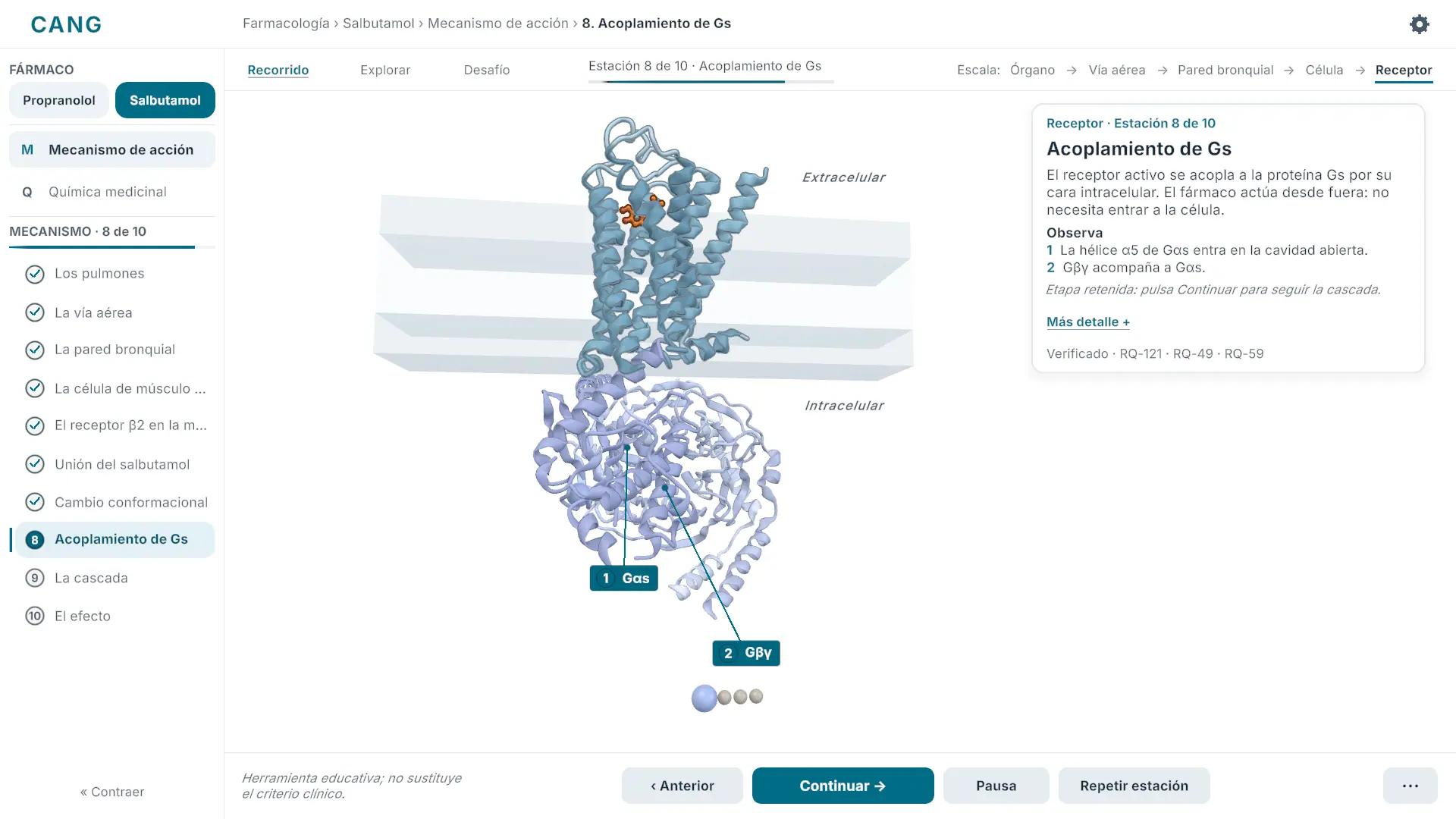 Respuesta citada en CANG Lab con referencias verificadas